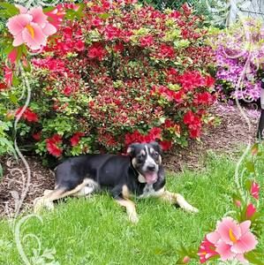 Meet your Posher, Donna